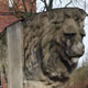 Example content image using the class .alignleft