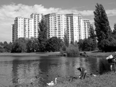 Example content image using the class .alignleft