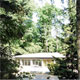 Example content image using the class .alignleft